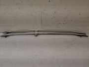 Dachreling-Set AUDI A4 (8EC, B7) 1.9 TDI 8E9860021