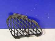 Gitter Grill vorne rechts