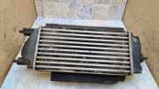 Ladeluftkühler Ford B-Max (JK) 818306