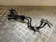 Einspritzleiste Kia Sportage 2 (JE, KM)