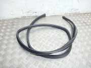 Türdichtung Nissan Qashqai (J10)