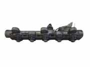 Einspritzleiste Renault Master III Kasten (FV) 0445214258