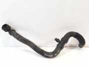 Schlauch Kühlung PEUGEOT EXPERT Furgon (VF3A_, VF3U_, VF3X_) 2.0 HDi 140 ASF1033500