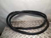 Türgummi rechts hinten Skoda Octavia II (1Z) 1Z9867367H