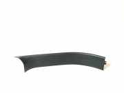Innenschwellenzierleiste hinten links MERCEDES-BENZ M (W166) ML 350 BlueTEC 4-matic (166.024) A1666800535