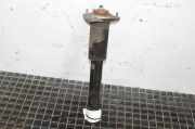 Stoßdämpfer hinten links BMW X5 (E70) 3.0 d 6782877