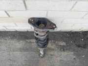 Stoßdämpfer hinten links NISSAN PRIMERA Hatchback (P12) 1.8