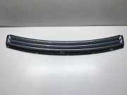 Vorderer oberer Gitter AUDI A2 (8Z0) 1.4 TDI 8Z0819103