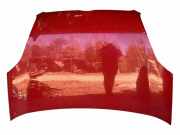 Motorhaube FIAT DOBLO Cargo (223_) 1.3 JTD 16V Multijet 053341