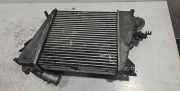 Ladeluftkühler NISSAN X-TRAIL (T30) 2.2 Di 4x4 D2053B17