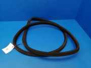 Dichtungsgummi der hinteren Tür (an der Karosserie)