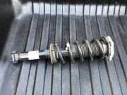 Stoßdämpfer hinten links