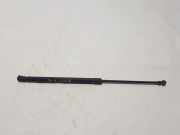 Heckklappe Gasdruckfeder rechts NISSAN QASHQAI II (J11, J11_) 1.6 dCi 904504EA0A