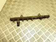 Kraftstoffzuführung RENAULT MEGANE II (BM0/1_, CM0/1_) 1.9 dCi (BM0G, CM0G) 0281002522 0445214024