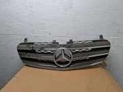 Gitter Grill vorne links MERCEDES-BENZ R (W251, V251) R 280 CDI 4-matic (251.020) A2518880223