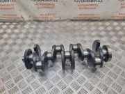 Kurbelwelle VW PASSAT B6 (3C2) 2.0 TDI 16V 4motion