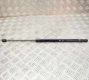 Heckklappe Gasdruckfeder rechts VW ID.3 (E11) Pro 10A827550B