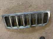 Vorderer oberer Gitter JEEP GRAND CHEROKEE II (WJ, WG) 4.7 V8 4x4 801600002