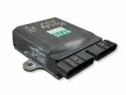 Fuel Injector Control Unit MAZDA MPV II (LW) 2.0 DI 1310001240