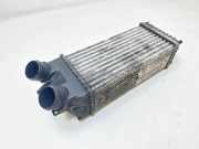 Ladeluftkühler CITROËN BERLINGO (K9) 1.5 BlueHDi 130 9645965180 874964GJ