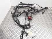 Motor Kabelbaum TOYOTA COROLLA Verso (ZER_, ZZE12_, R1_) 1.8 (ZNR11_) 821210F010