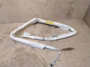 Dach SRS rechts VW GOLF PLUS (5M1, 521) 1.6 TDI 1K9880742C