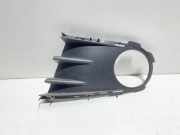 Gitter Grill vorne links RENAULT MODUS / GRAND MODUS (F/JP0_) 1.2 (FP0C, FP0K, FP0P) 8200311699