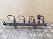 Kraftstoffzuführung RENAULT SCÉNIC II (JM0/1_) 1.9 dCi (JM0G, JM12, JM1G, JM2C) 8200347176 0281002239