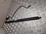 Gasfeder im Kofferraum links FORD KUGA III (DFK) 1.5 EcoBlue LV4BS402A54AF