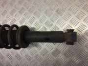 Stoßdämpfer links hinten BMW X3 (F25) 6796317