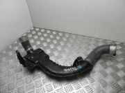 Schlauch für Luftversorgung Renault Scenic III (JZ) 8200860017