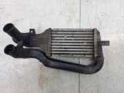 Ladeluftkühler Opel Zafira A (T98) 24436438