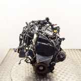 Motor ohne Anbauteile (Diesel) Renault Kadjar (HA, HL) K9K647