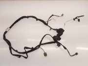 Kabel Tür Renault Clio III (BR0/1, CR0/1) 8200504550F