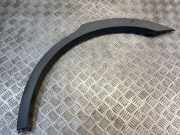 Rear Arch Liner Trim CHEVROLET CAPTIVA (C100, C140) 2.2 D 4WD 96439715