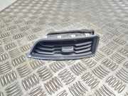 Ziergitter Ford S-Max II (CJ, WA6) 131357