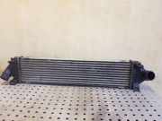 Ladeluftkühler FORD KUGA I 2.0 TDCi 4x4 6G919L440AE
