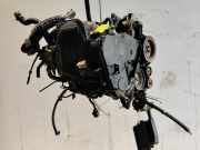 Motor FIAT DOBLO Cargo (223_) 1.9 D (223ZXB1A) 55199395