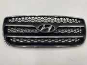 Vorderer oberer Gitter HYUNDAI SANTA FÉ II (CM) 2.2 CRDi GLS 4x4