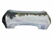 Motorhaube SEAT TOLEDO III (5P2) 2.0 TDI 16V 5P0823155C