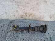 Stoßdämpfer vorne links