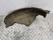 Innenkotflügel hinten links