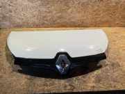 Motorhaube RENAULT TRAFIC III Furgon (FG_) 1.6 dCi 140