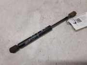 Heckklappe Gasdruckfeder links NISSAN PRIMERA (P12) 2.2 Di 13M111 23377