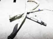 Dach SRS rechts AUDI Q7 (4L) 3.0 TDI quattro 4L0880742A