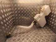 Behälter Scheibenwaschanlage Opel Vivaro B Kasten (X82) 289105241R