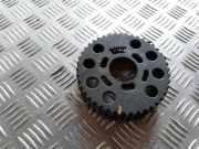 Auslassvanos VW TOURAN (1T1, 1T2) 1.9 TDI 038109111E