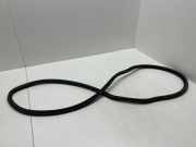 Türgummi links hinten Peugeot 308 II ()