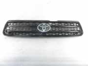 Gitter TOYOTA RAV 4 II (_A2_) 2.0 D-4D 4WD (CLA20_, CLA21_)
