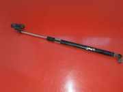 Gasfeder für Motorhaube Subaru Tribeca (B9)